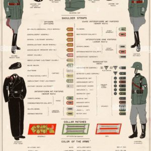 Planche de broderie pour les tailleurs