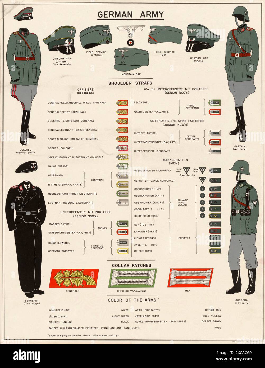 Planche de broderie pour les tailleurs